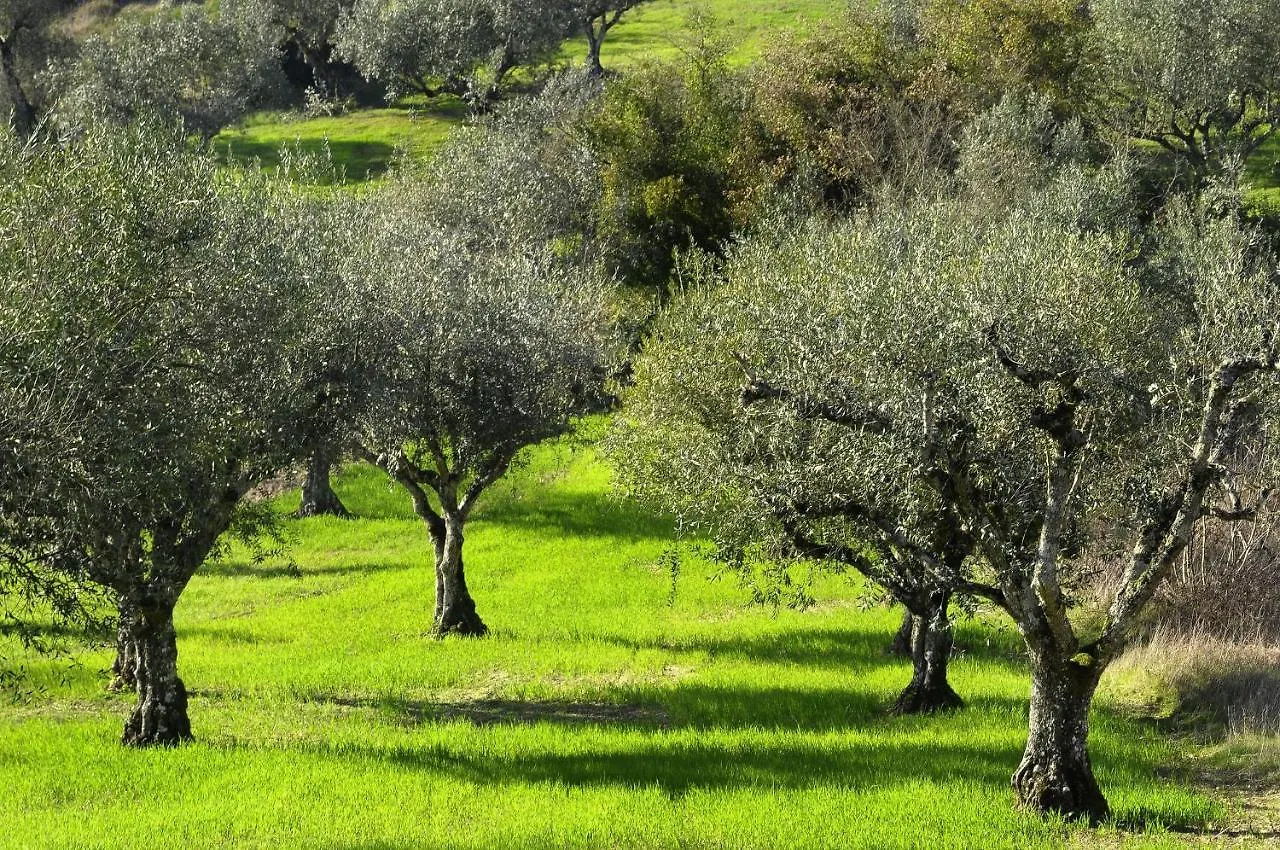 Il Podere La Casina Monsummano Terme Włochy