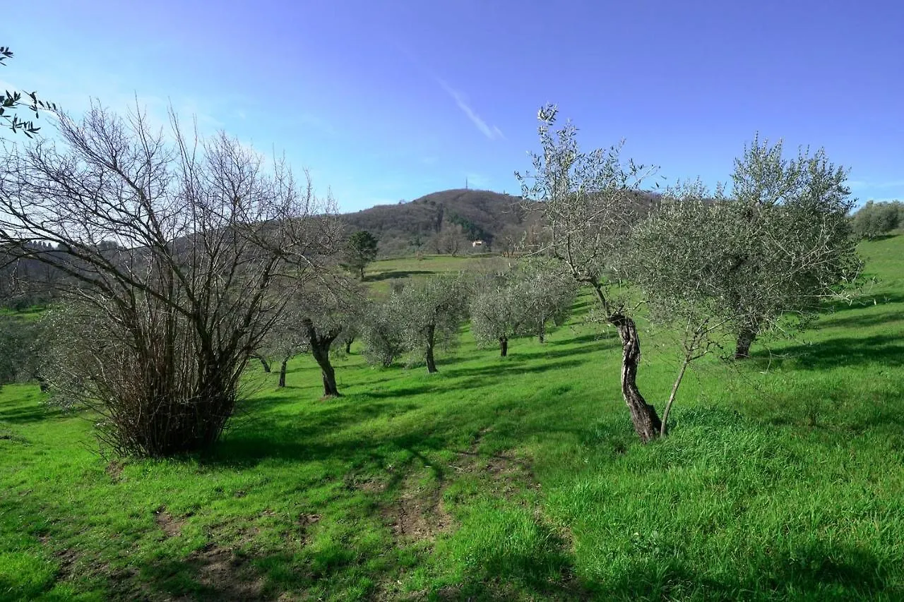 Il Podere La Casina Monsummano Terme