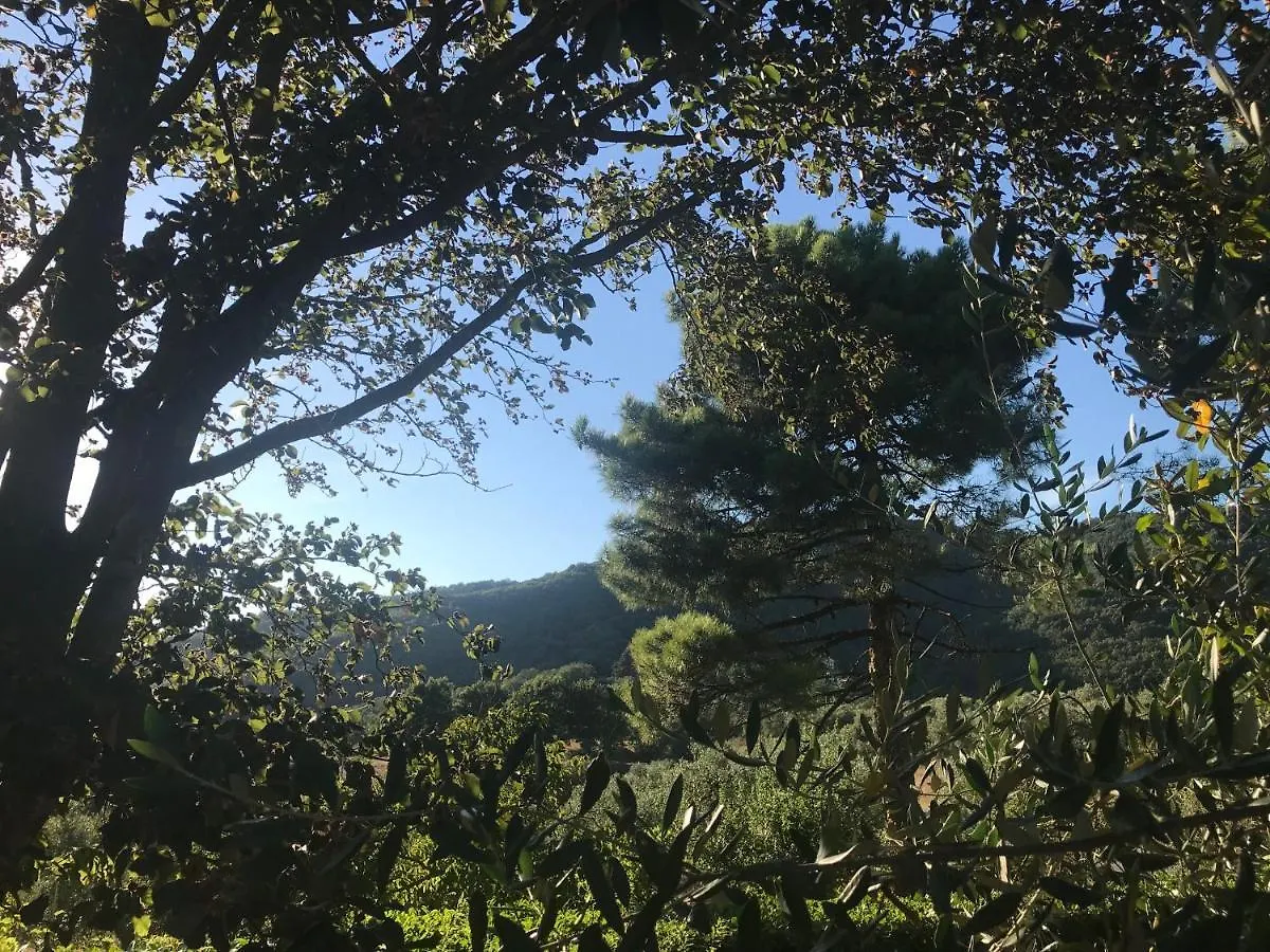 Pensjonat Il Podere La Casina Monsummano Terme