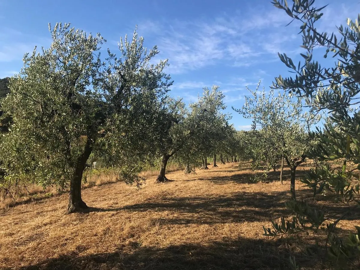 Pensjonat Il Podere La Casina Monsummano Terme