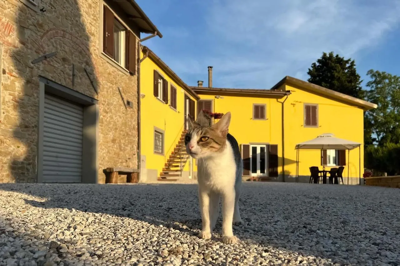 Il Podere La Casina Monsummano Terme Włochy